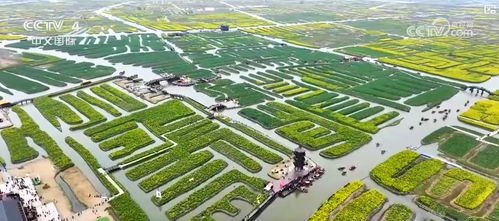 春日赏花民俗体验热度攀升，如何玩转花样经济？