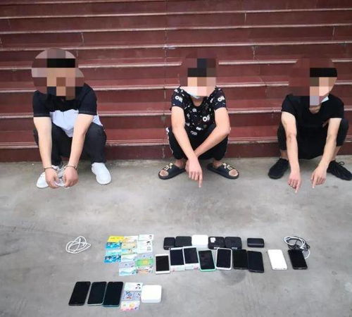 健身房竟成卖淫窝点？4人获刑背后的故事