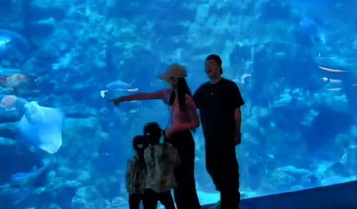 陈赫一人游香港Vlog：从美食到文化，他带你看不一样的香港