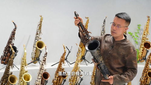 初学选择罗林斯萨克斯的哪一款型号更好！