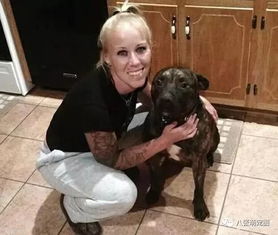 喂了十年的狗狗突然咬向主人，背后真相令人深思