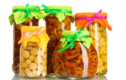 《过期罐头·基因星轨》：那些被遗忘的愿望，正悄然点亮未来