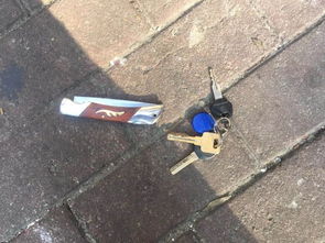 千万网红刀小刀被查，背后真相令人深思