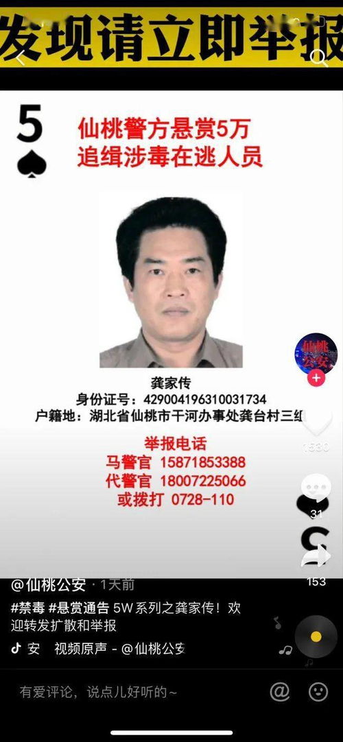 全网通缉的“在逃熊”找到了！