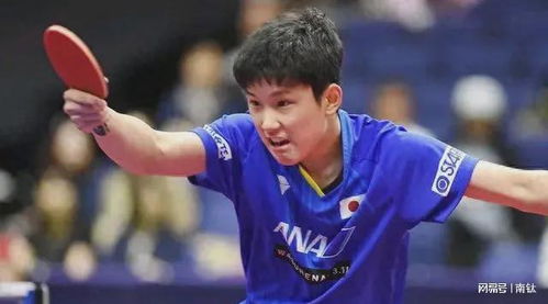 张本智和又输了！仁川赛1-3不敌林昀儒，日本男单接近全军覆没