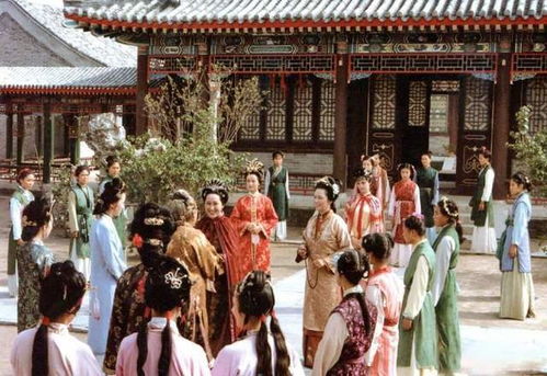 薛家为何入住贾府：一场家族关系的深思