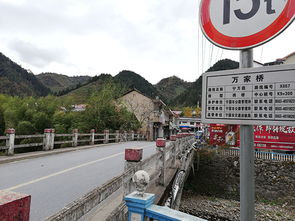 驱车二村看安万：一场跨越时空的诗意旅程