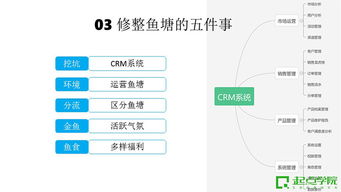 直播间全流程运营指南：三步打造高效直播生态