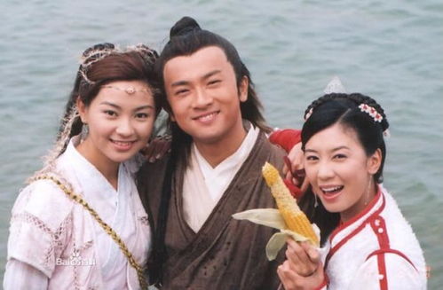 苏有朋版《倚天屠龙记》为何能打动观众？