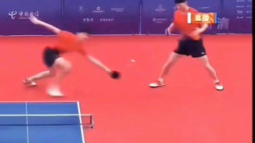 王楚钦食堂打饭事件：从热搜到饭圈文化的反思