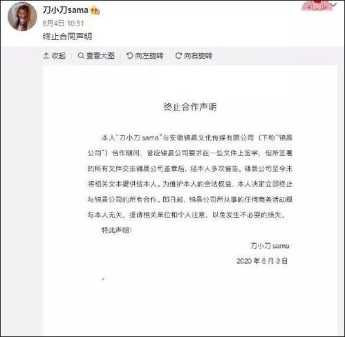 刀小刀拖欠解约赔偿金400多万：网红经济背后的辛酸与真相
