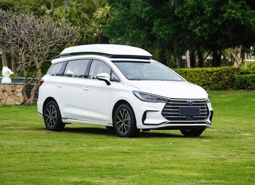 3月销量战报：比亚迪称霸，零跑逆袭理想！