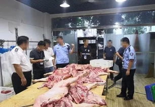 成都猪肉加工点查获上百只流浪猫，背后真相令人揪心