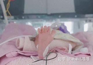 董力与阿诺：从隐婚到早产，他们的爱情故事