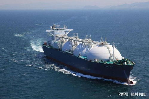 台LNG船因军演不敢进港，释放了哪些信号？