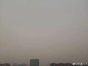 对错不重要，成长才是关键——小木木i的感悟