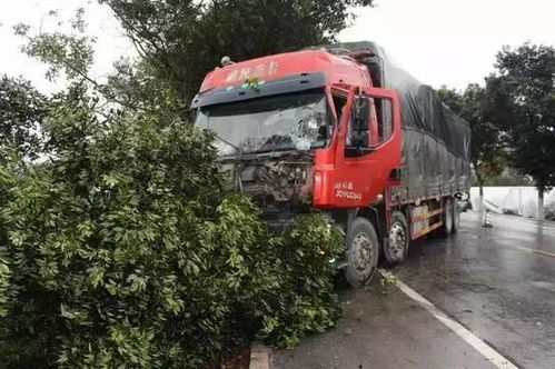 惊魂一刻：路人发现货车藏匿疑似人脚，真相令人震惊