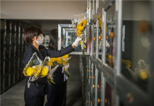 清明节新趋势：云祭祀与代客祭扫服务的兴起