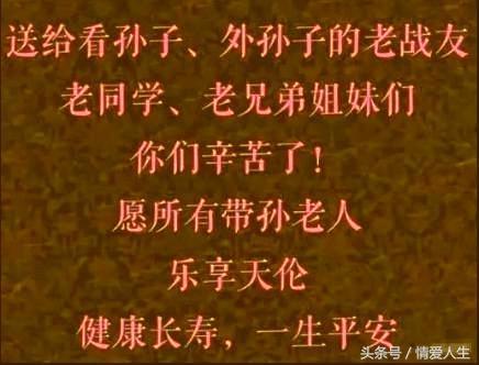 一年细算良辰少：在忙碌中寻找生活的美好