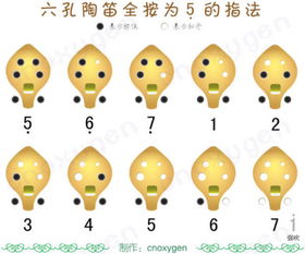 学陶笛的基本功，从零开始的音乐之旅