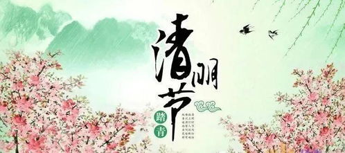 清明前的小雨，奏响思念的旋律