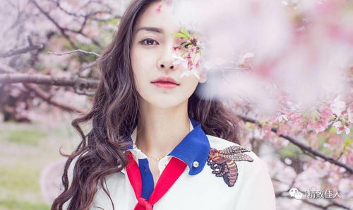 Angelababy女王权杖：从微博Queen到一亿粉丝的辉煌历程