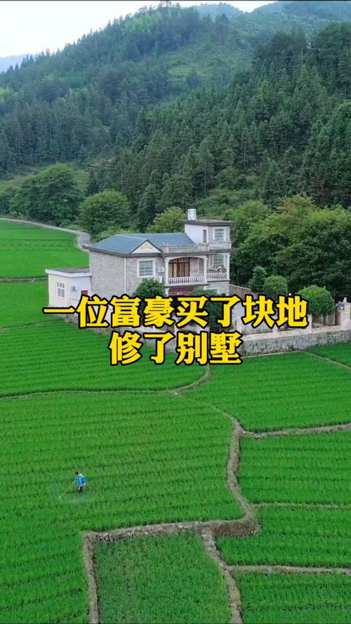 富豪买地热潮：从特朗普到马斯克，他们为何如此热衷？