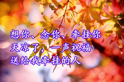 和想念的人说一声我想你了