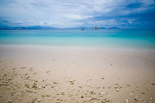 如约而至：时光里的温暖奔赴