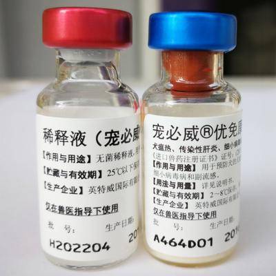 斯达特人干扰素-γ一步法优化定量ELISA试剂盒：让免疫检测更精准