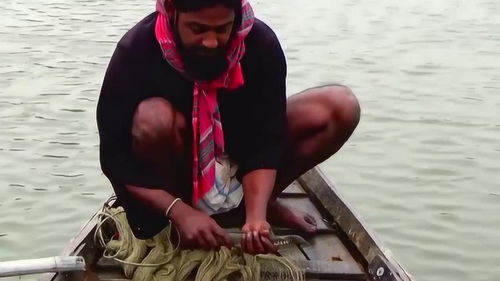 大叔撒超大网捕鱼，划船进网捞鱼的震撼场景