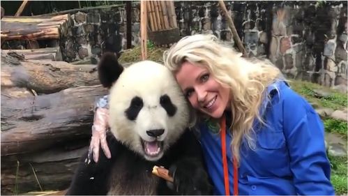 甲亢哥的熊猫奇缘：从功夫茶到夹子音