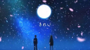 绮丽的时间：一场与时间的深度对话