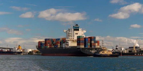 出海新趋势：美国政策调整与元鼎智能融资背后的商机