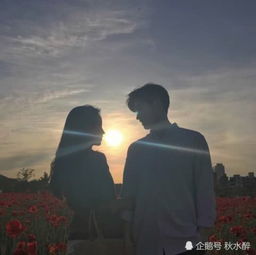 长久的婚姻与短暂的幸福：爱情与现实的碰撞