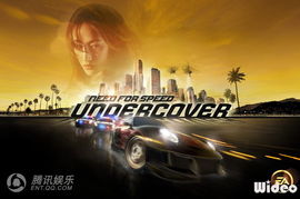 香港速度：一场与时间赛跑的奇迹