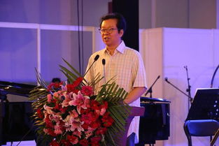 中国舞蹈家协会主席冯双白与副主席罗斌接受审查调查