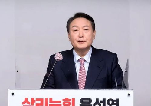 尹锡悦被罢免后，韩国总统大选谁能胜出？