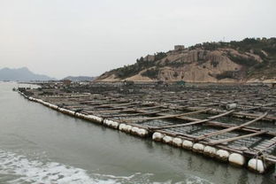 “天然良港”需要怎样的条件？从地理位置到经济腹地的全面解析