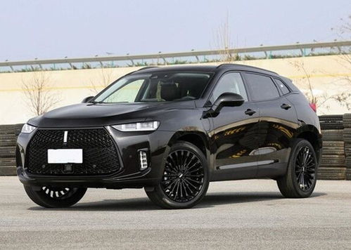 自己没买到的高科技，老祖宗早就用上了！