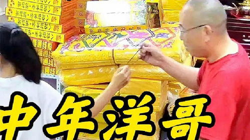 忙碌又充实的一天（1972）：平凡中的不平凡