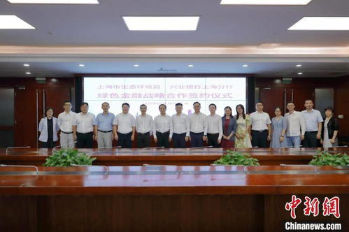 国际绿色金融合作新篇章：个人视角下的全球共赢