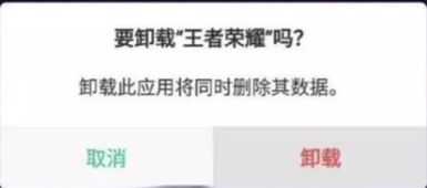 500天，还不是开始：一段不平凡的旅程