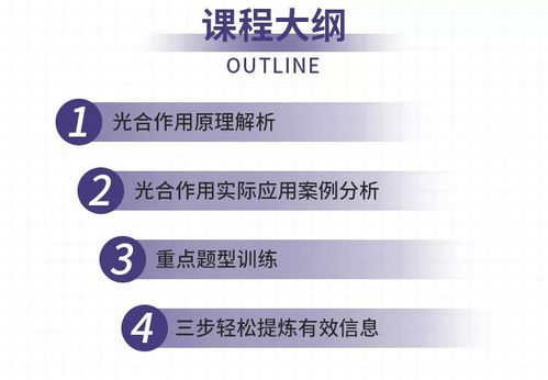 光合作用半小时挑战：人类能否像植物一样自给自足？
