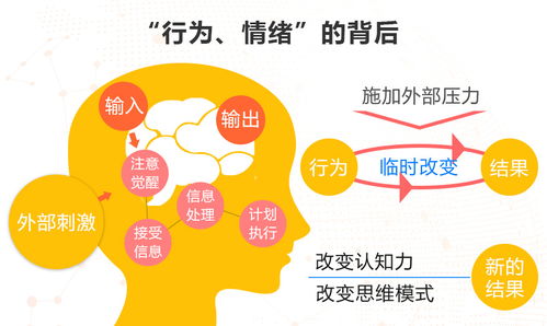 情绪管理：从心出发，掌控人生的方向盘