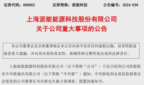 重庆地产大佬黄红云被立案调查，背后有何隐情？