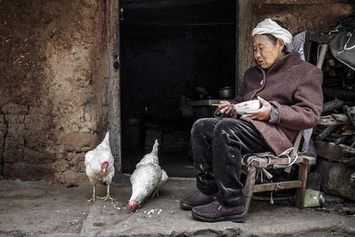 老人刚去世，孙子电话就被殡葬公司打爆？背后真相令人深思