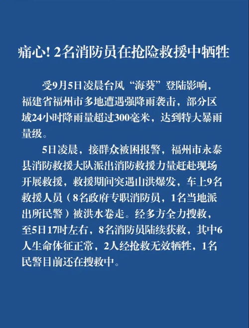 沈阳消防英雄：火海中的不朽丰碑