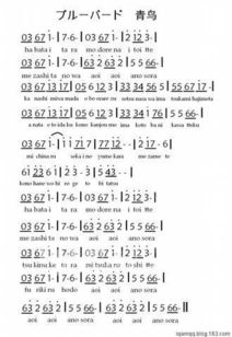 吹口琴的那些事儿：好处与坏处全解析