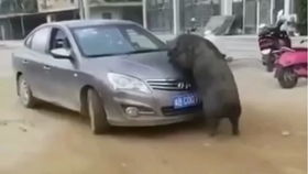 2025投资心路：极简基金策略的蜕变之路